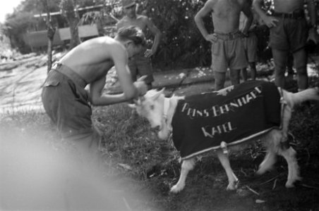 Mascotte Kees de Bock, Bestanddeelnr 148-3-3