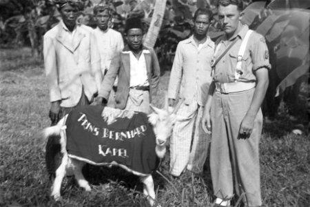 Mascotte Kees de Bock, Bestanddeelnr 148-3-1