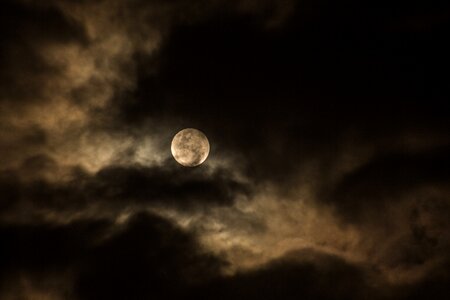 Luna moon night photo