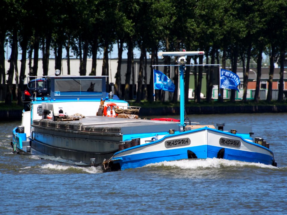 Mashua - ENI 02307785, Amsterdam-Rijn kanaal, pic5