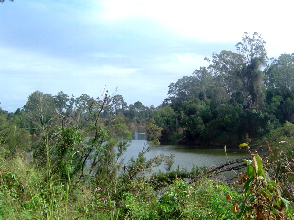 Mary River at Tiaro
