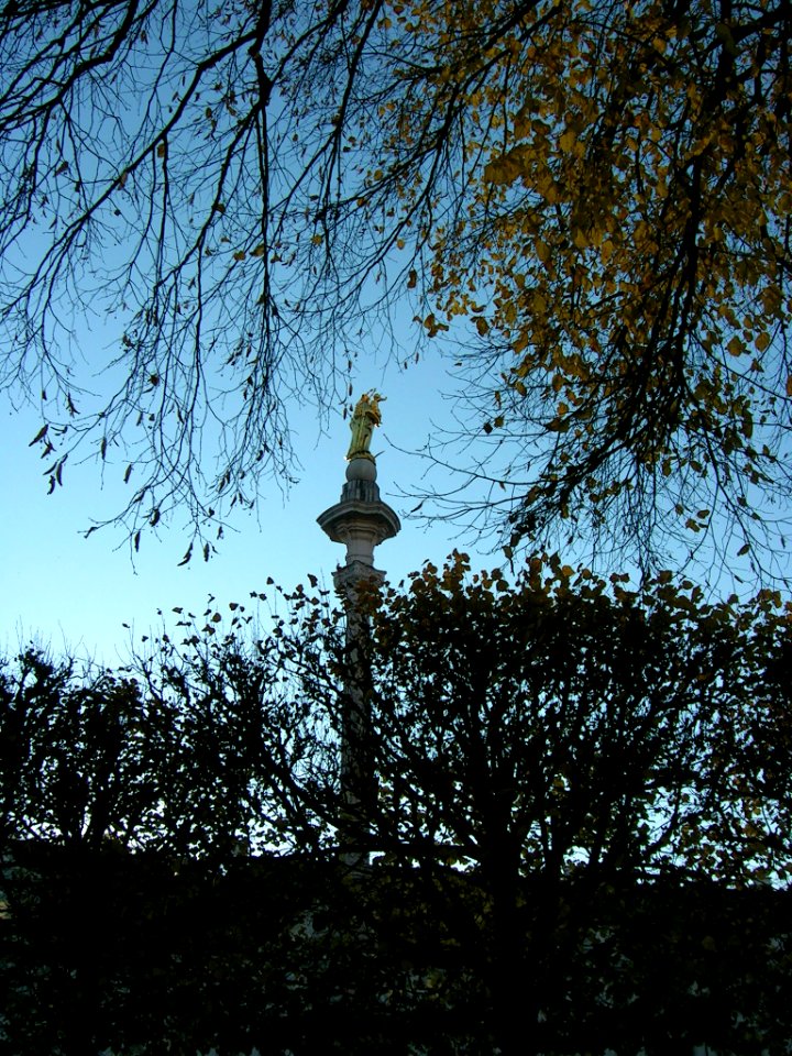 Mariensäule Eichstätt -Herbst 2015 (2)