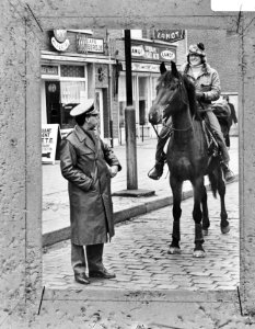 Marie Louise Geels terug van trektocht met paard hier bij grens in Putten (repro, Bestanddeelnr 921-8559