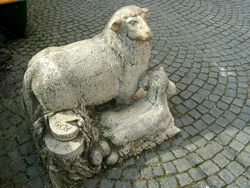 Marktplatz 9 Eichstätt -Steinschaf