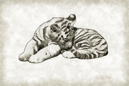 Wild wildlife baby