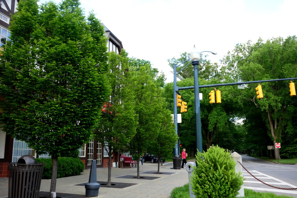 Mariemont, Ohio - DSC03288