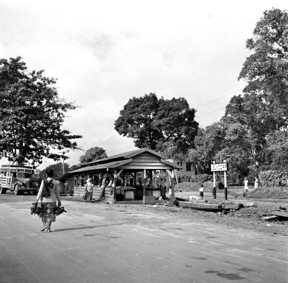 Markthal bij Station Lelydorp in Suriname