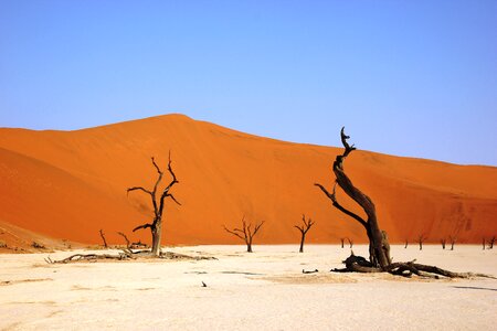 Dry sandy sand dune photo