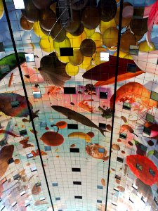 Markthal (Rotterdam) pic15