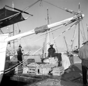 Markt bij schip in de haven van Oranjestad op Aruba, Bestanddeelnr 252-7859