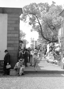 Markt in Funchal op Madeira, Bestanddeelnr 190-0145 photo