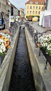 Markt wittenberg mai2017 - 6