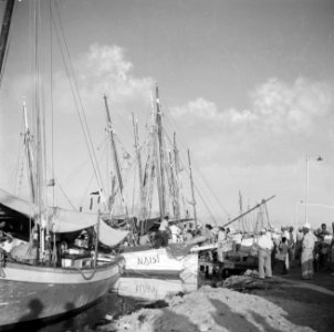 Markt in de haven van Oranjestad op Aruba, Bestanddeelnr 252-7860