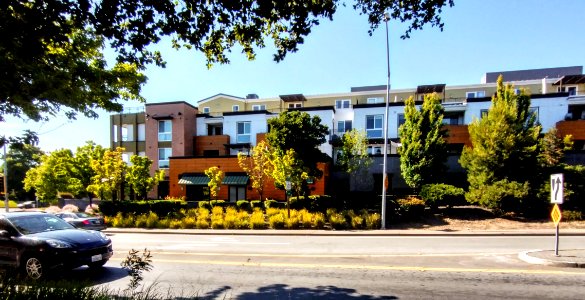 Marin-county-articulated-facade