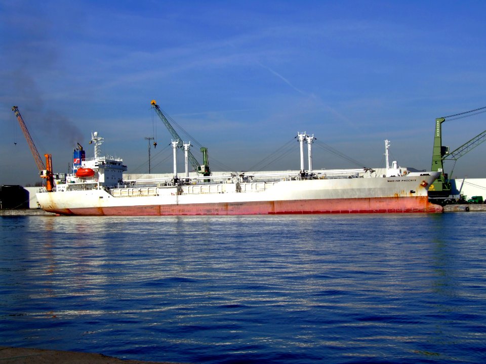 Marine Phoenix IMO 9072824 Antwerp 06feb08 p2