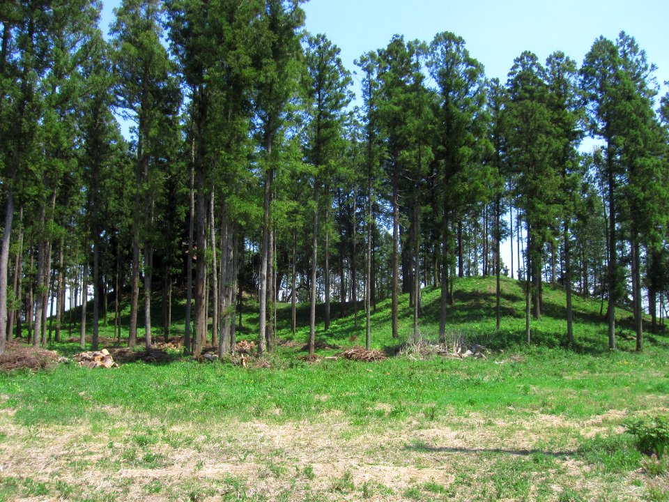 Marishitenzuka-kofun zenkei