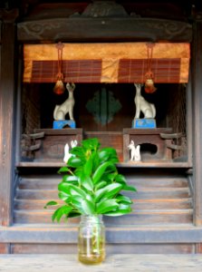 Marishiten-do - Kyoto, Japan - DSC07388