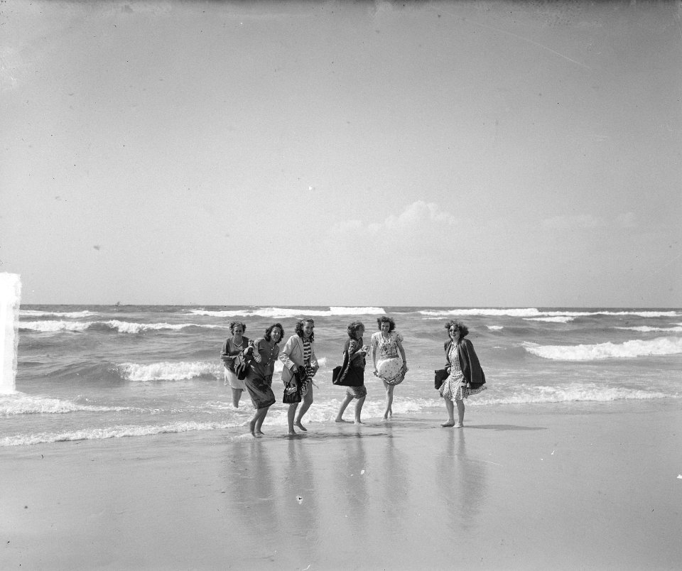 Marinevrouwen contactmiddag in Bergen aan Zee, Bestanddeelnr 903-5196