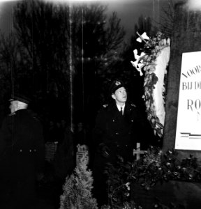 Mariniers terug in Rotterdam, Bestanddeelnr 901-9678