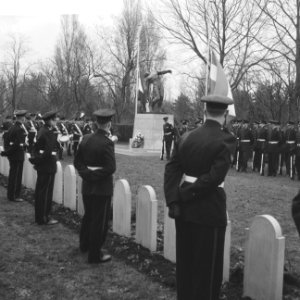 Mariniers in Rotterdam herdenken meidagen 1940, Bestanddeelnr 911-8668