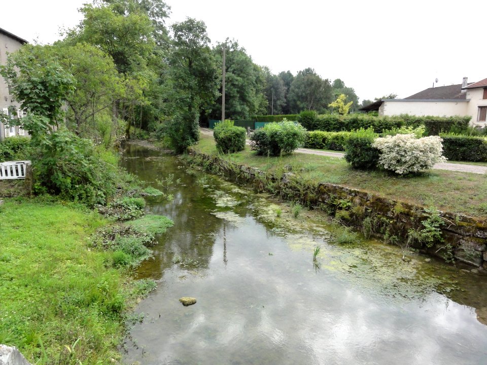 Marson-sur-Barboure (Meuse) la Barboure (01)