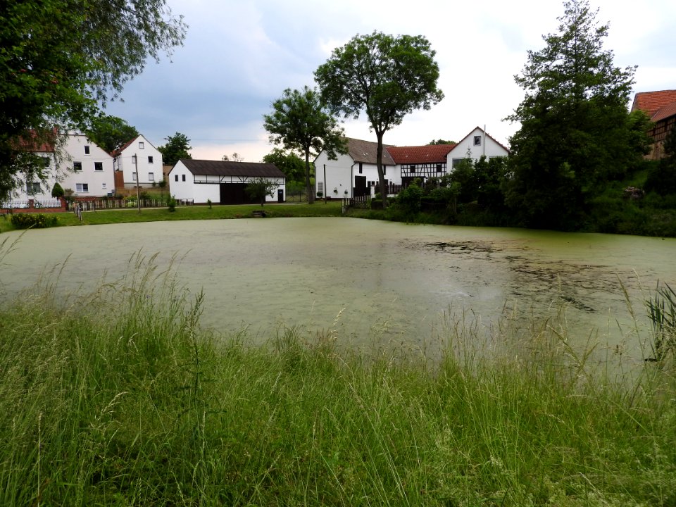 Markersdorf, Hundhaupten 23