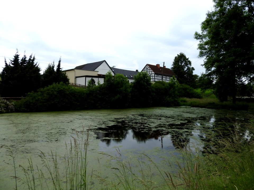 Markersdorf, Hundhaupten 19