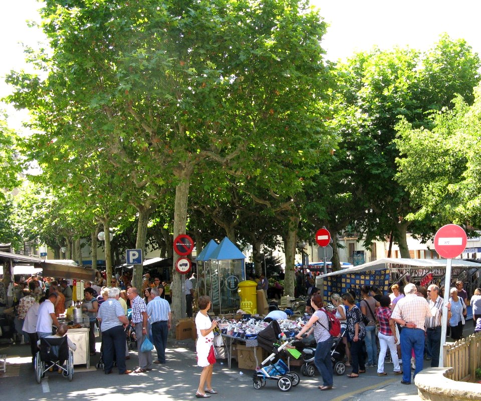 Market at Olot 005