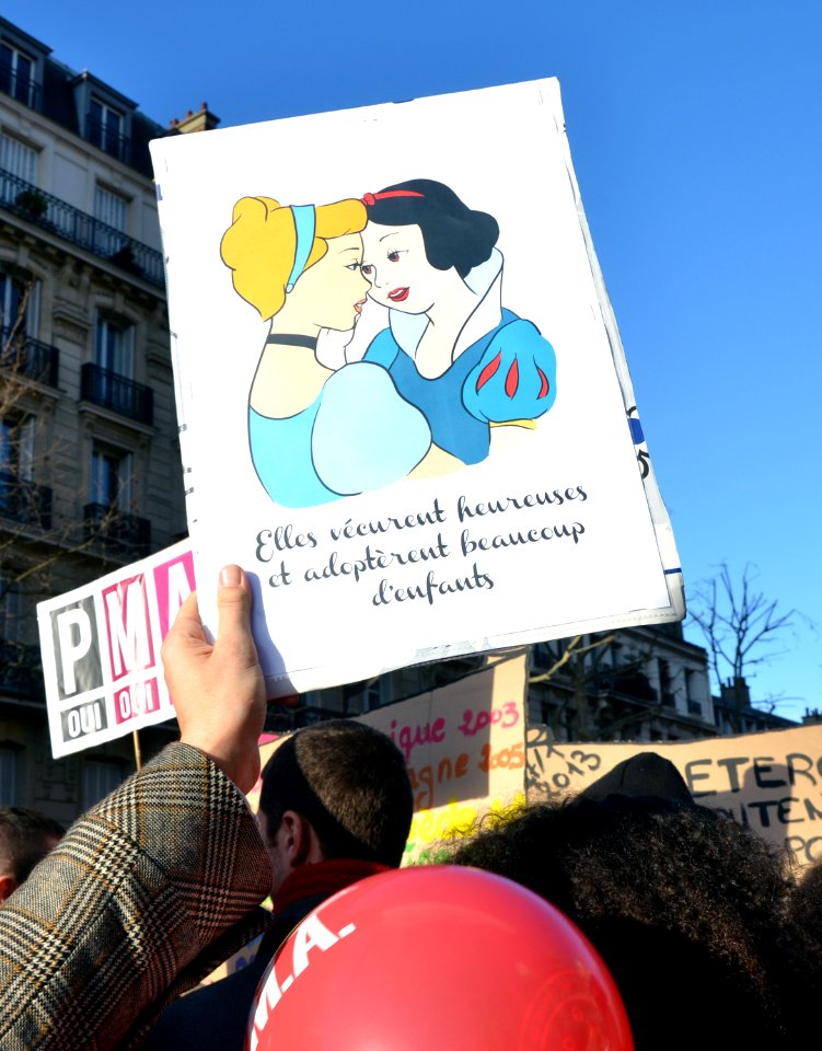 Marriage equality demonstration Paris 2013 01 27 23
