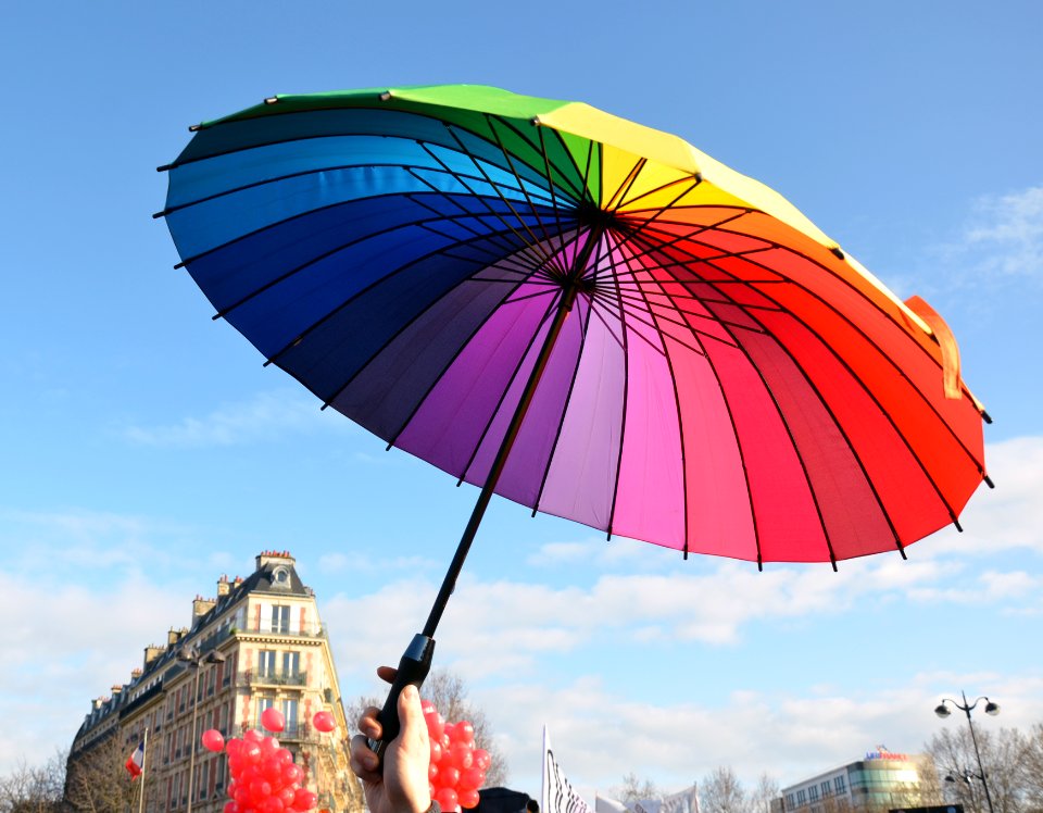Marriage equality demonstration Paris 2013 01 27 09