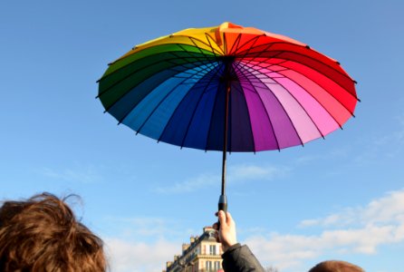 Marriage equality demonstration Paris 2013 01 27 11