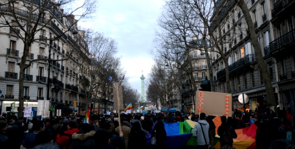 Marriage equality demonstration Paris 2013 01 27 28