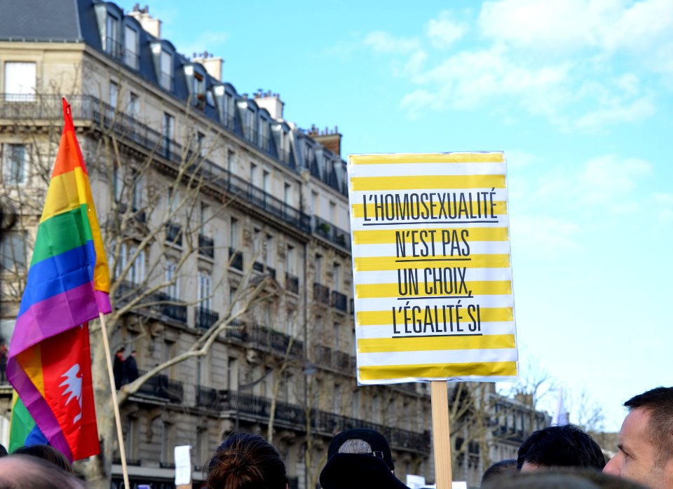 Marriage equality demonstration Paris 2013 01 27 04
