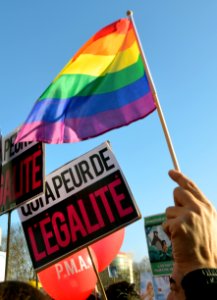 Marriage equality demonstration Paris 2013 01 27 20