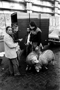 Marokkanen met levende schapen bij het abattoir in onderhandeling met een Nederl, Bestanddeelnr 930-5210