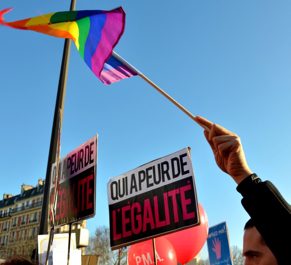 Marriage equality demonstration Paris 2013 01 27 16