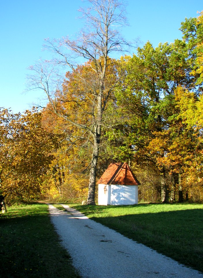 Marquardsholz HIP (3)