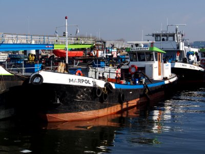 Marpol 16, IMO 5242880, pic1