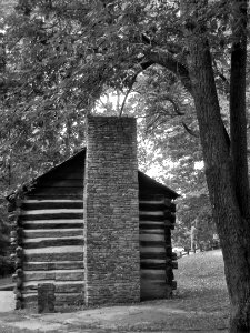 Martin’s Cabin, Schenley Park, 2015-06-22, 01
