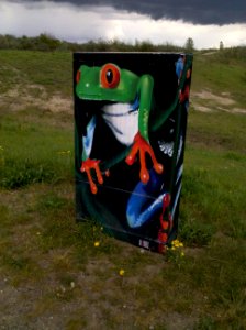 Markkleeberg, Schaltkasten mit Frosch am Störmthaler Kanal im April 2019