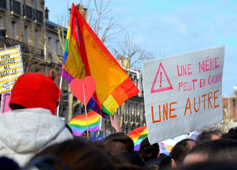 Marriage equality demonstration Paris 2013 01 27 03
