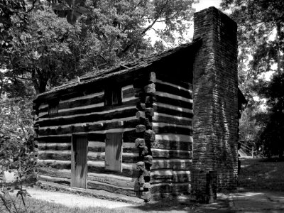 Martin’s Cabin, Schenley Park, 2015-06-22, 03