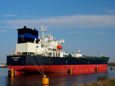 Marlin Magnetic (ship, 2019) IMO 9829485, Afrikahaven pic5