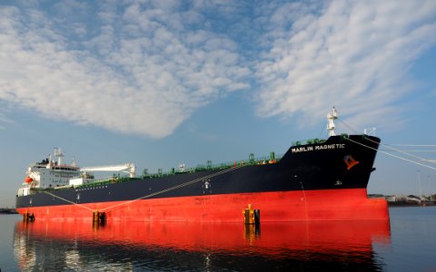 Marlin Magnetic (ship, 2019) IMO 9829485, Afrikahaven pic7-001