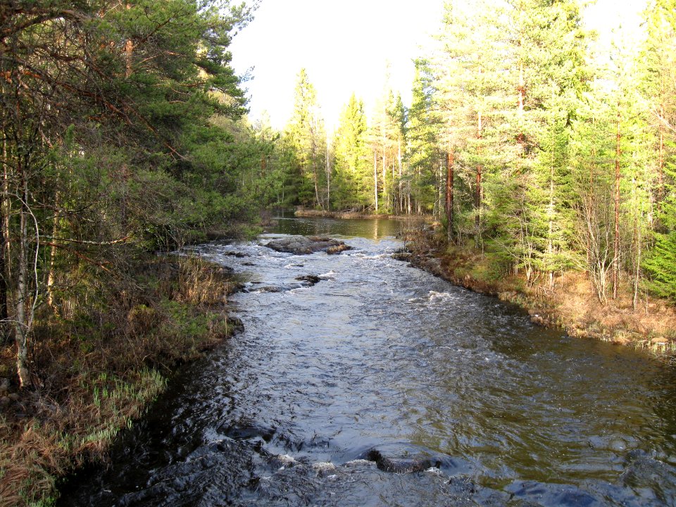 Martimojoki Haukipudas