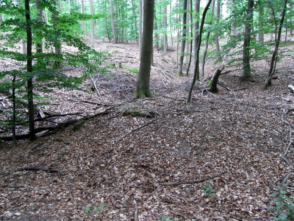 Markbach Runse Zulauf Quellteich R0019787