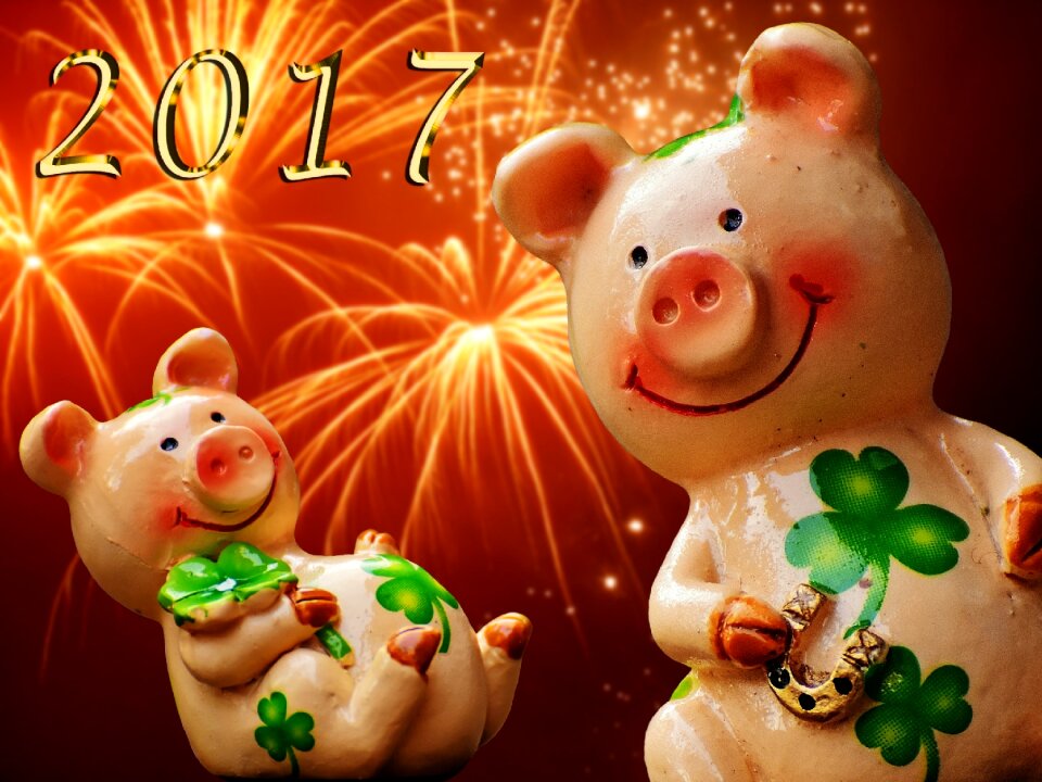 Cute lucky charm sow