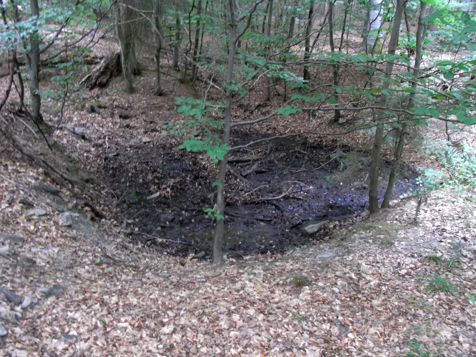 Markbach Quelltopf Zulauf links R0019797