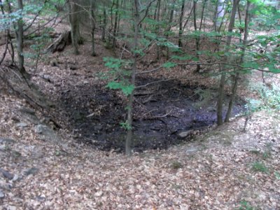 Markbach Quelltopf Zulauf links R0019797