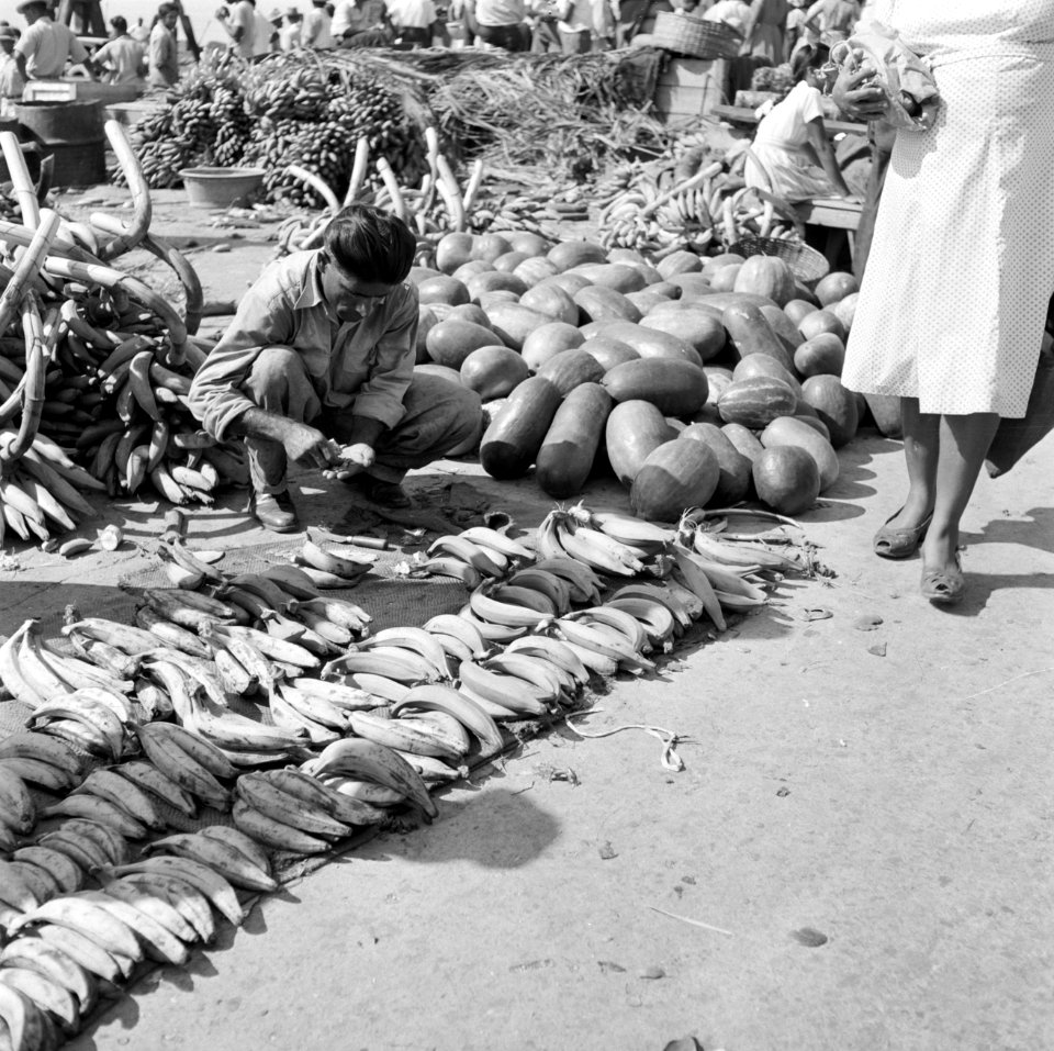 Markt met vruchten in Paramaribo, Bestanddeelnr 252-4981